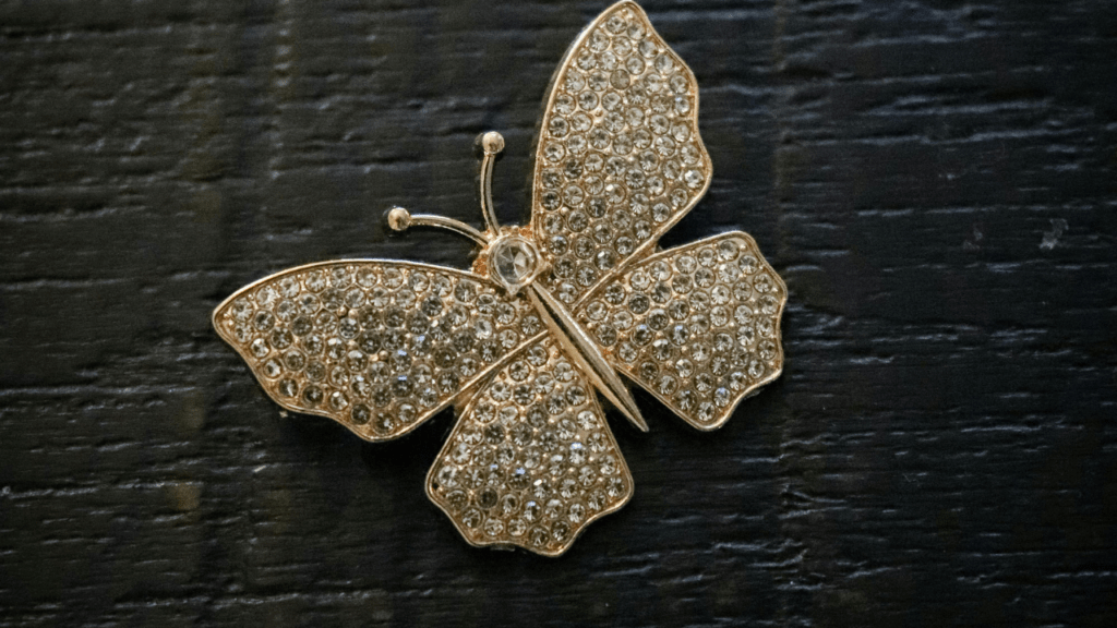 Whimsical Butterfly Clips & Trendy Accessories